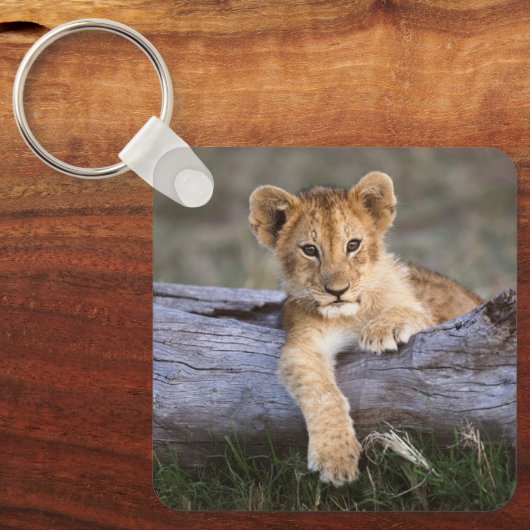 Kutest Baby Animals | Cute Lion Cub Sleutelhanger (Voorkant)