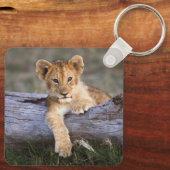 Kutest Baby Animals | Cute Lion Cub Sleutelhanger (Achterkant)