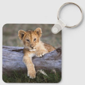 Kutest Baby Animals | Cute Lion Cub Sleutelhanger (Achterkant)