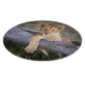 Kutest Baby Animals | Cute Lion Cub Snijplank (Hoek)