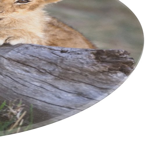 Kutest Baby Animals | Cute Lion Cub Snijplank (Hoek)