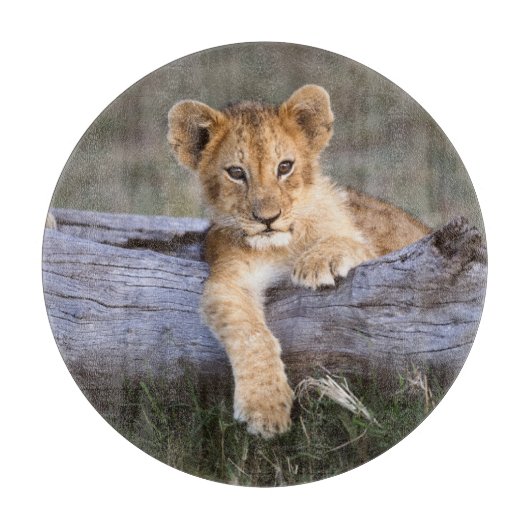 Kutest Baby Animals | Cute Lion Cub Snijplank (Voorkant)