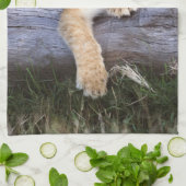 Kutest Baby Animals | Cute Lion Cub Theedoek (Gevouwen)