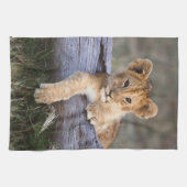 Kutest Baby Animals | Cute Lion Cub Theedoek (Horizontaal)
