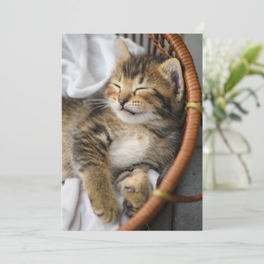 Kutest Baby Animals | Cute Tabby Cat Slaping Bedankkaart (Staand voorkant)