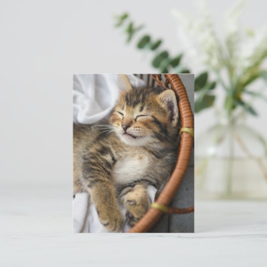Kutest Baby Animals | Cute Tabby Cat Slaping Briefkaart (Staand voorkant)