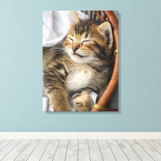 Kutest Baby Animals | Cute Tabby Cat Slaping Canvas Afdruk (Insitu (Houten vloer))