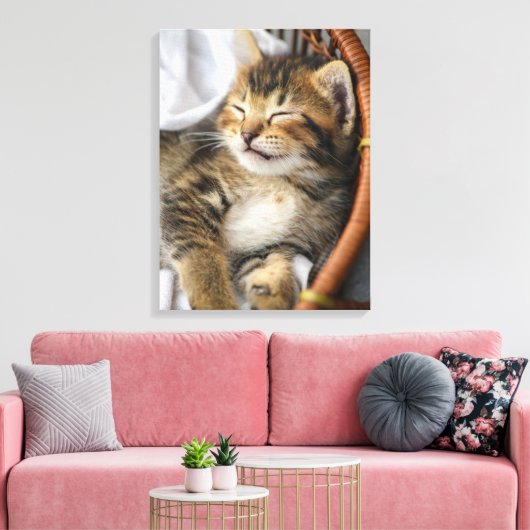 Kutest Baby Animals | Cute Tabby Cat Slaping Canvas Afdruk (Insitu (Woonkamer))