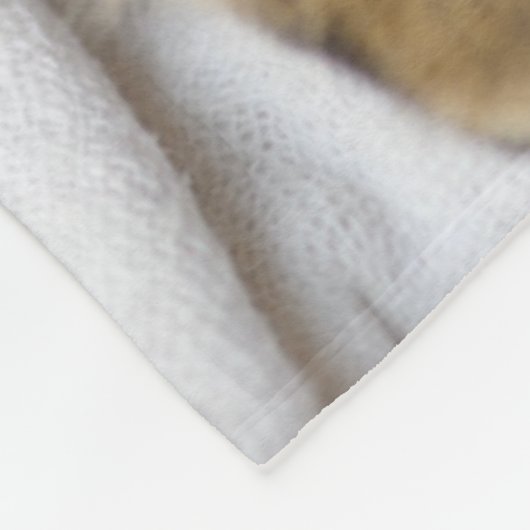 Kutest Baby Animals | Cute Tabby Cat Slaping Fleece Deken (Hoek)