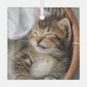 Kutest Baby Animals | Cute Tabby Cat Slaping Glas Ornament (Voorkant)