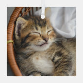 Kutest Baby Animals | Cute Tabby Cat Slaping Glas Ornament (Achterkant)