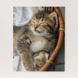 Kutest Baby Animals   Cute Tabby Cat Slaping Legpuzzel