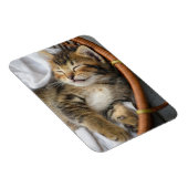 Kutest Baby Animals | Cute Tabby Cat Slaping Magneet (Rechterzijde)