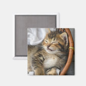 Kutest Baby Animals | Cute Tabby Cat Slaping Magneet (Voorkant / Achterkant)