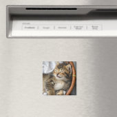 Kutest Baby Animals | Cute Tabby Cat Slaping Magneet (Insitu (Vaatwasser))