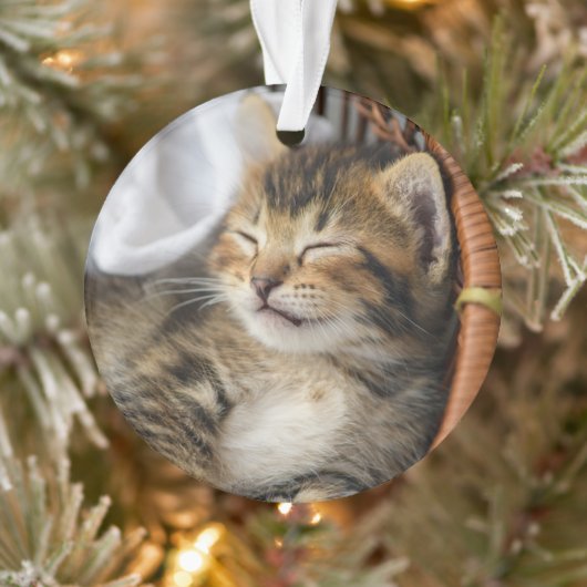 Kutest Baby Animals | Cute Tabby Cat Slaping Ornament (Boom)
