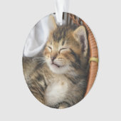 Kutest Baby Animals | Cute Tabby Cat Slaping Ornament (voorkant)