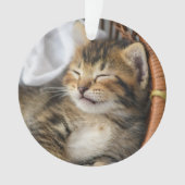 Kutest Baby Animals | Cute Tabby Cat Slaping Ornament (voorkant)