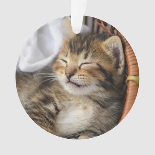 Kutest Baby Animals | Cute Tabby Cat Slaping Ornament (voorkant)