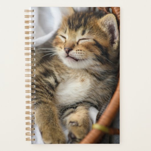 Kutest Baby Animals | Cute Tabby Cat Slaping Planner (Voorkant)