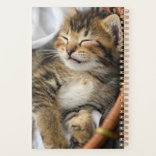 Kutest Baby Animals | Cute Tabby Cat Slaping Planner (Achterkant)