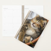 Kutest Baby Animals | Cute Tabby Cat Slaping Planner (Display)