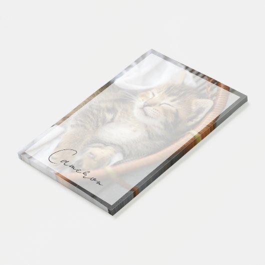 Kutest Baby Animals | Cute Tabby Cat Slaping Post-it® Notes (Schuin)