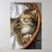 Kutest Baby Animals | Cute Tabby Cat Slaping Poster (Voorkant)