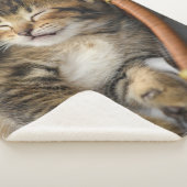 Kutest Baby Animals | Cute Tabby Cat Slaping Sherpa Deken (3/4)