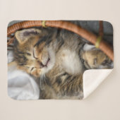 Kutest Baby Animals | Cute Tabby Cat Slaping Sherpa Deken (Voorkant (horizontaal))