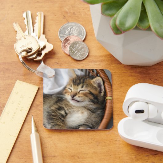 Kutest Baby Animals | Cute Tabby Cat Slaping Sleutelhanger (Bureau)