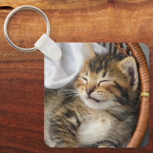 Kutest Baby Animals | Cute Tabby Cat Slaping Sleutelhanger (Voorkant)