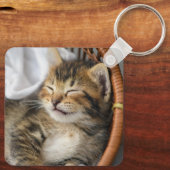 Kutest Baby Animals | Cute Tabby Cat Slaping Sleutelhanger (Achterkant)