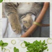 Kutest Baby Animals | Cute Tabby Cat Slaping Theedoek (Gevouwen)