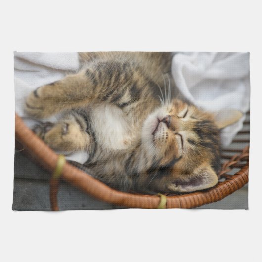 Kutest Baby Animals | Cute Tabby Cat Slaping Theedoek (Horizontaal)