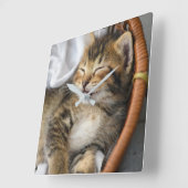 Kutest Baby Animals | Cute Tabby Cat Slaping Vierkante Klok (Hoek)