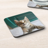 Kutest Baby Animals | Cute Tabby Kitten Bier Onderzetter (Linkerzijde)