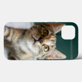Kutest Baby Animals | Cute Tabby Kitten Case-Mate iPhone Case (Achterkant (horizontaal))
