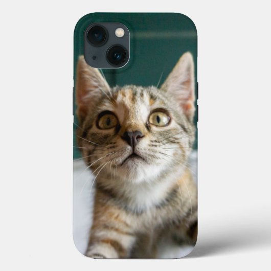 Kutest Baby Animals | Cute Tabby Kitten Case-Mate iPhone Case (Achterkant)