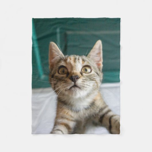 Kutest Baby Animals | Cute Tabby Kitten Fleece Deken (Voorkant)