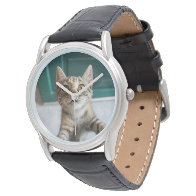 Kutest Baby Animals | Cute Tabby Kitten Horloge (Gekanteld)