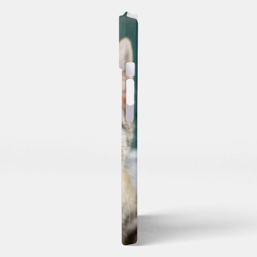 Kutest Baby Animals | Cute Tabby Kitten iPhone Hoesje (Linkerkant)