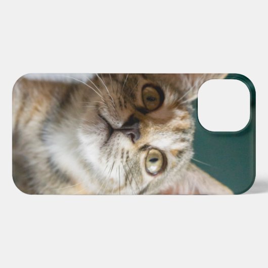 Kutest Baby Animals | Cute Tabby Kitten iPhone Hoesje (Achterkant horizontaal)