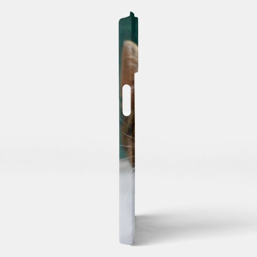 Kutest Baby Animals | Cute Tabby Kitten iPhone Hoesje (Rechterkant)