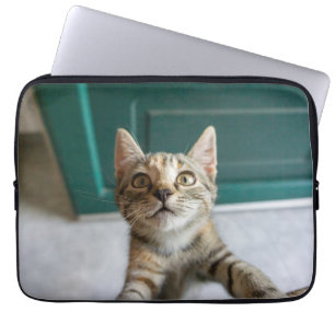 Kutest Baby Animals Cute Tabby Kitten Laptop Sleeve