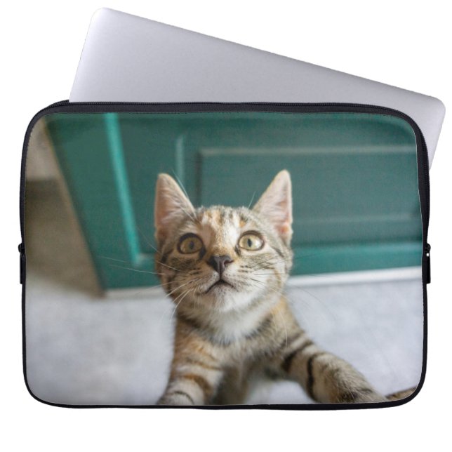 Kutest Baby Animals | Cute Tabby Kitten Laptop Sleeve (Voorkant)