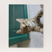 Kutest Baby Animals | Cute Tabby Kitten Legpuzzel (Verticaal)