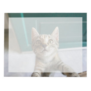 Kutest Baby Animals Cute Tabby Kitten Notitieblok