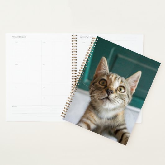 Kutest Baby Animals | Cute Tabby Kitten Planner (Display)
