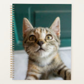 Kutest Baby Animals | Cute Tabby Kitten Planner (Voorkant)
